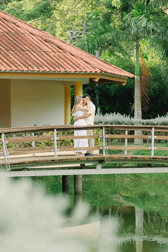 Descripción de la imagen 13